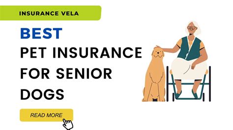 best pet insurance for elderly.